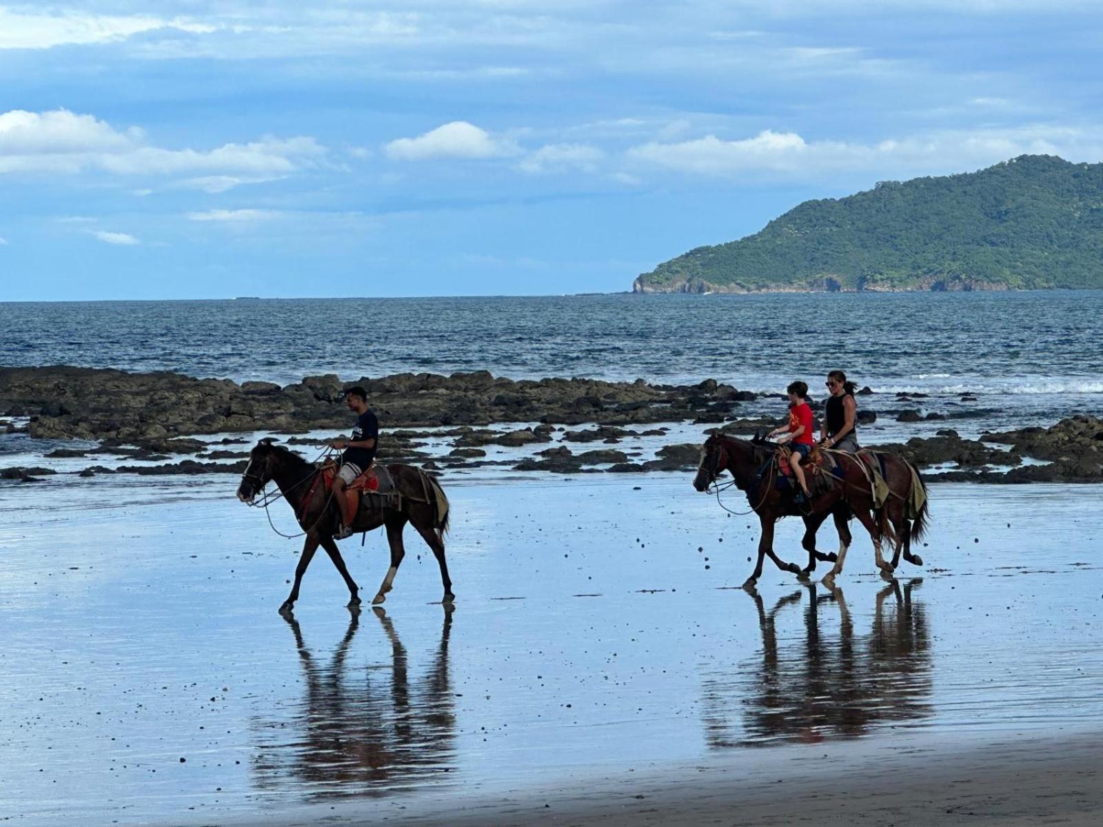 Fantastic Salt Pool & Cold Plunge, Within Walking Distance To The Beach Apartment Tamarindo Exterior foto